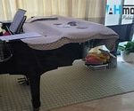 Jasa Pindahan Piano Jakarta Ke Bandung Paling Profesional